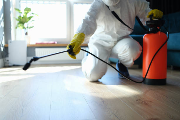 Reliable Odor Removal contractor in Knoxville, AR by Trauma Clean Pros